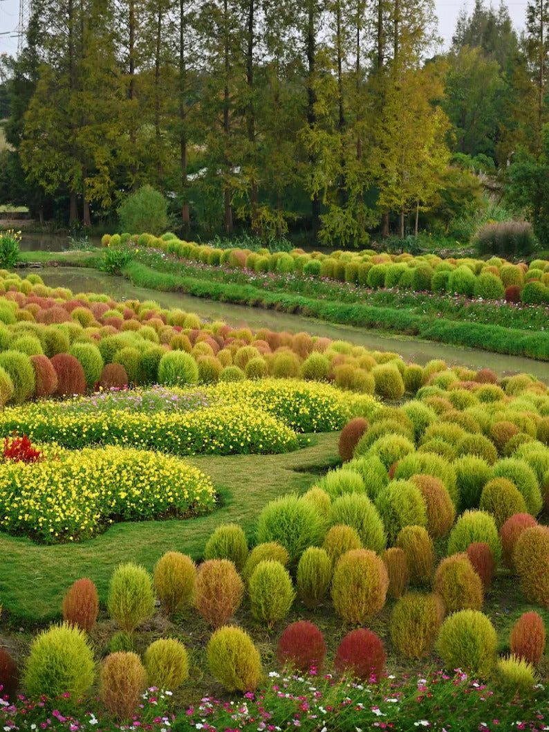 d2cb5510-2bd7-4917-8197-26abd440d876