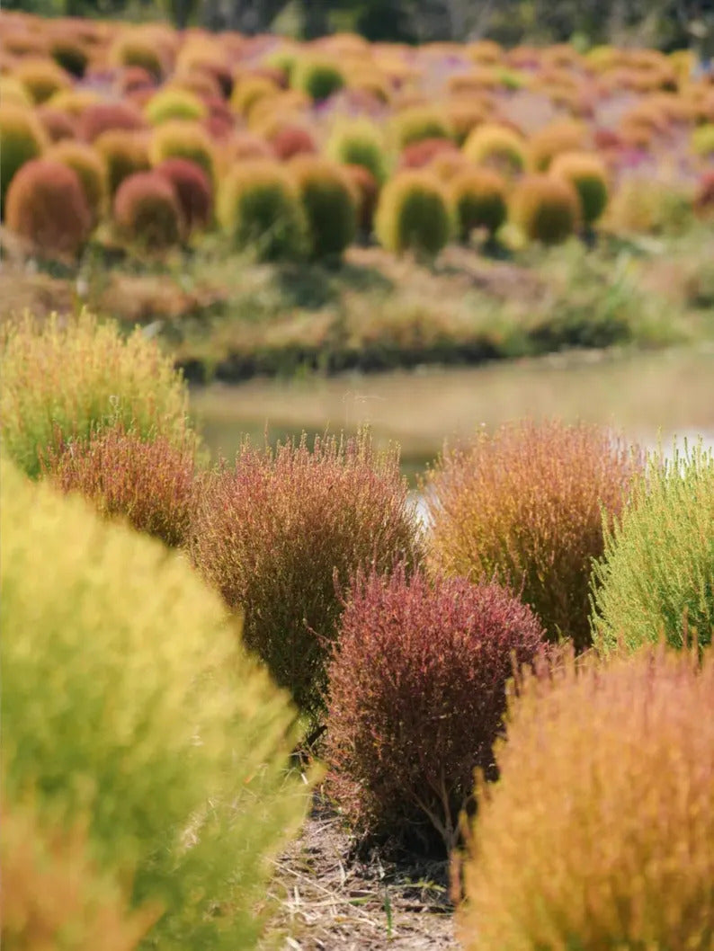 9d793cbd-cbac-4340-98b4-71e28948e106