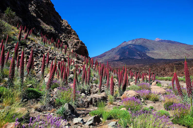 21a8d6fc-3221-41e4-983d-92d8b0ea207f