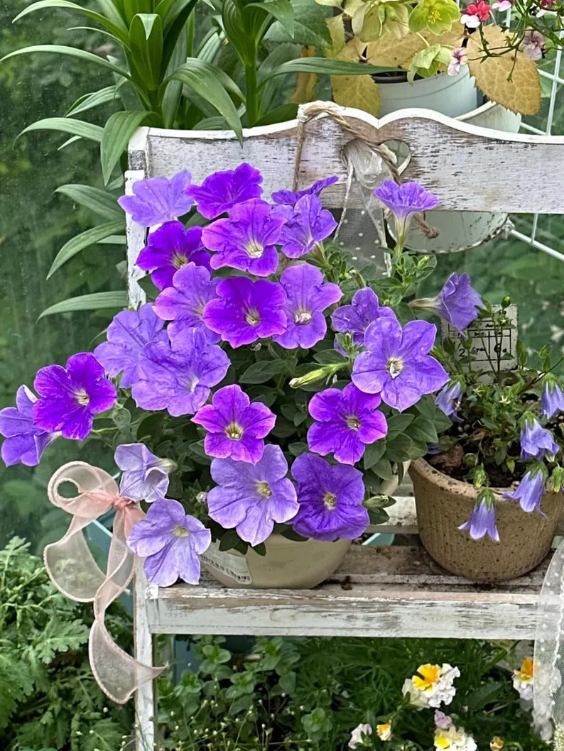 a7c29d15-d28e-446e-841b-39e2bf927bd3