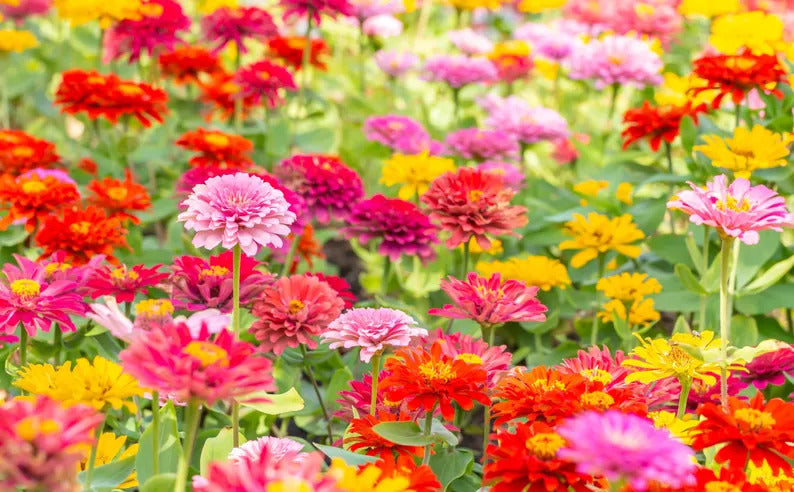 776eb029-0d1c-4907-9aeb-7cf3f89bce6c