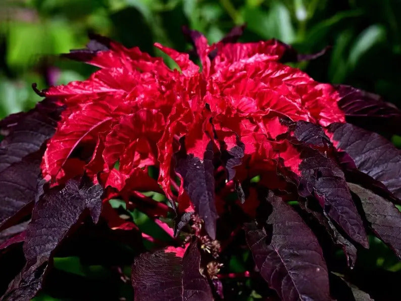 924d96ab-136f-4130-8440-11ee920ada8f