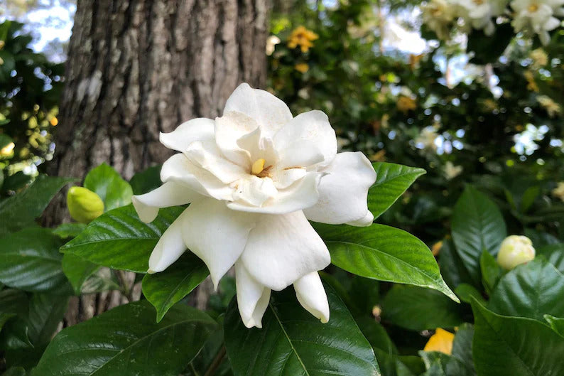 e73bf946-6f7b-406a-b221-22b1b4d86b52