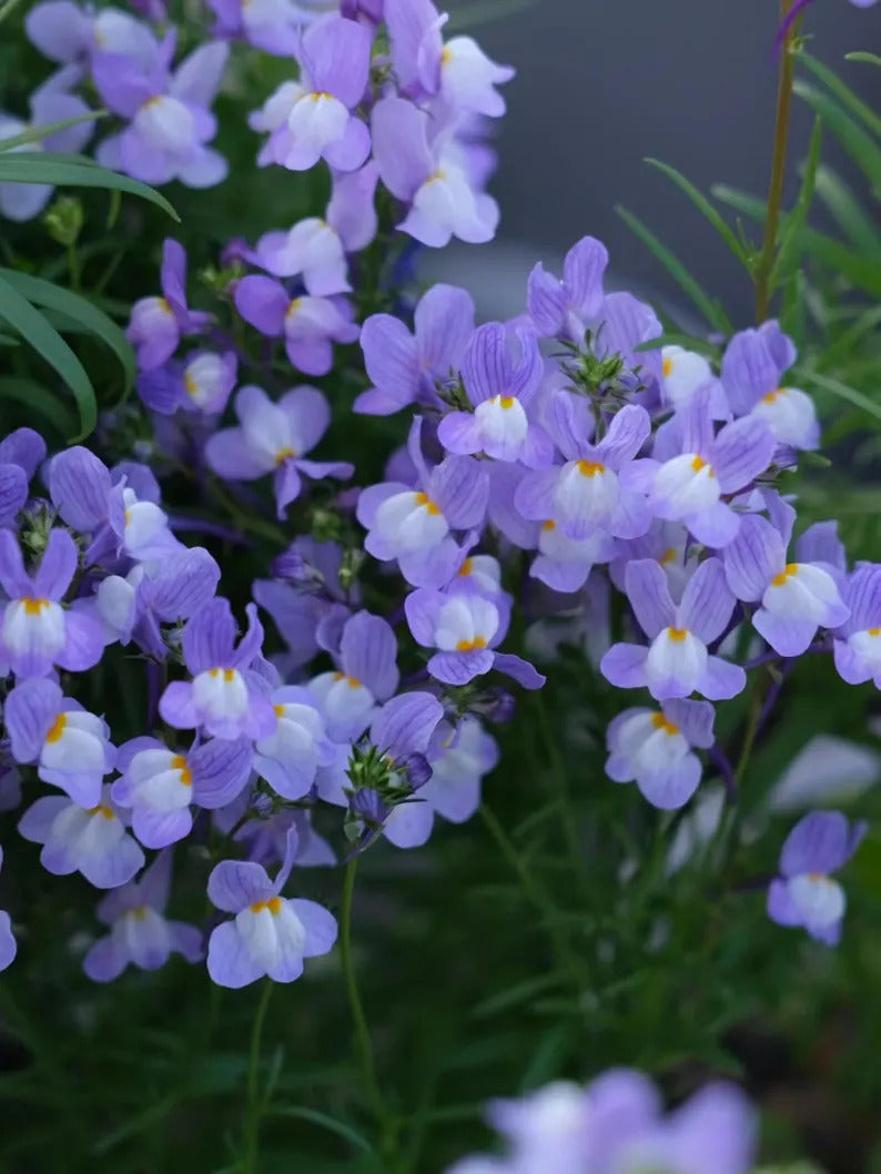 8781bd9d-d9e9-46d4-b34a-f2235fca4610