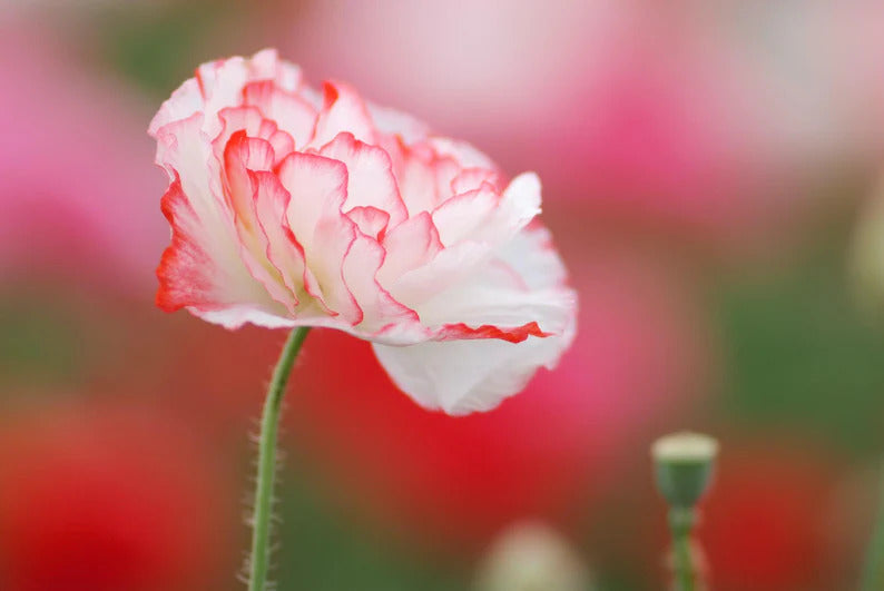 e52a0c73-6e9b-48e4-b5fd-05c34d78b577