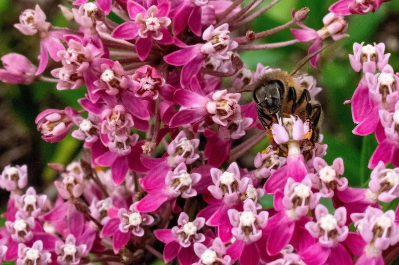 26c6d97a-a73e-4e47-9845-7b9fc375f8b4