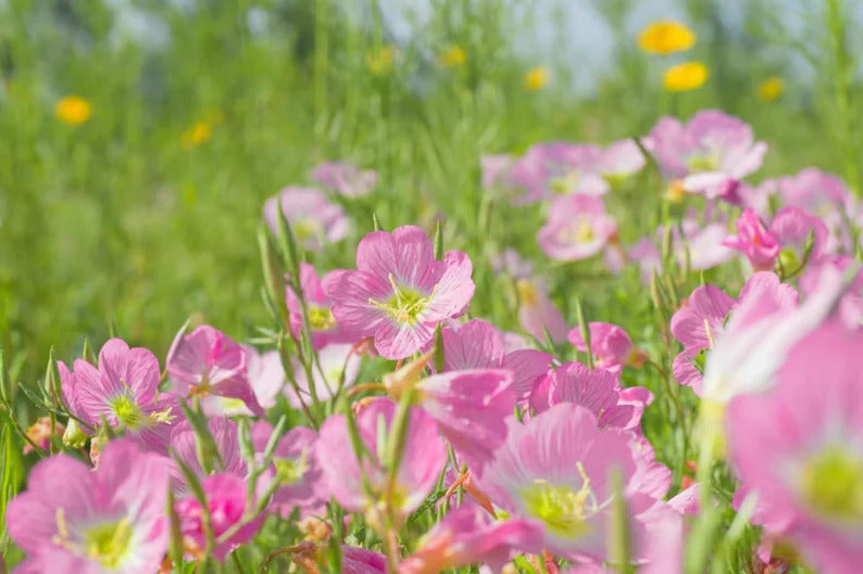 3a71d746-7e29-4204-933d-b1126a15f171