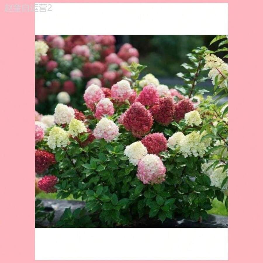 25036149-0714-44a5-baf4-4079ca83f1a5