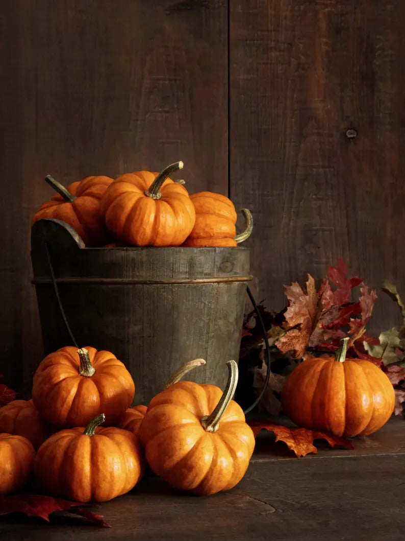 53669be5-787a-4662-aba9-db44621823df