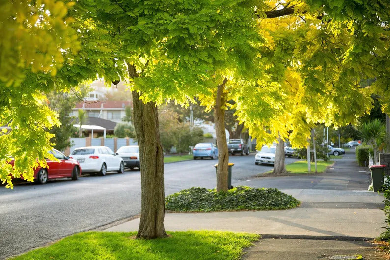 47141fa9-534d-4b70-a7c0-5a9755b00b9a