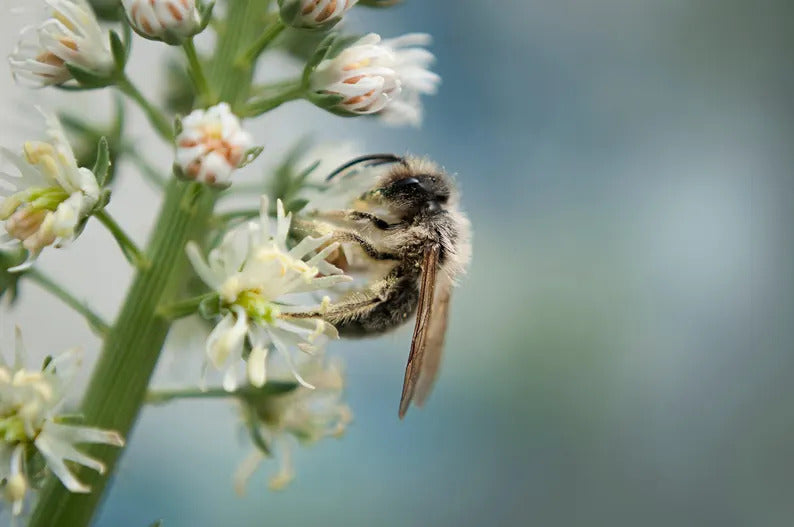 6877064e-ce82-4f7e-a696-2c17b778152e