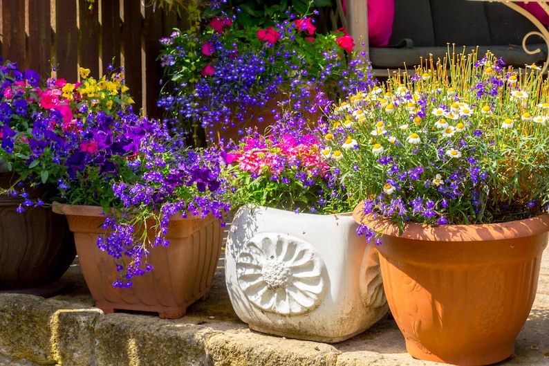 3af58b4d-a2f6-484c-90b2-bf0fed580cc9