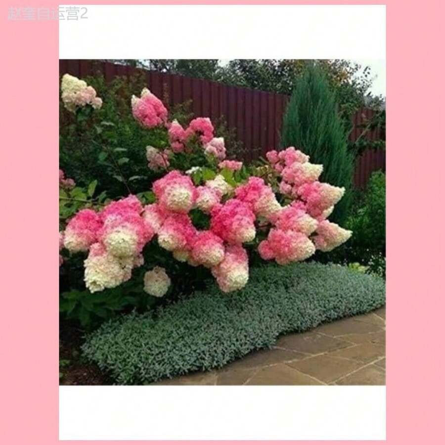 3a76d5f1-3ea3-4c84-a217-59bc2861f02c