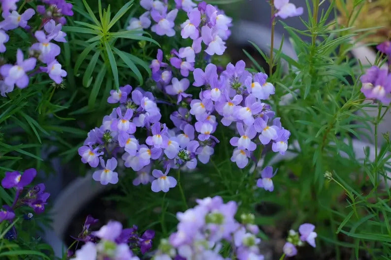 e1852063-ba75-4a36-ab55-c620bc33bac5