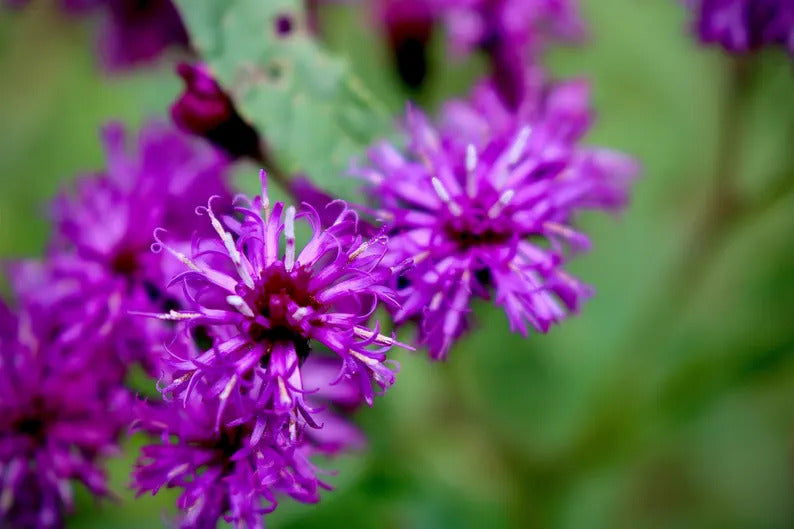 00a0c37f-5bac-4f25-8ca0-0406ed21187d