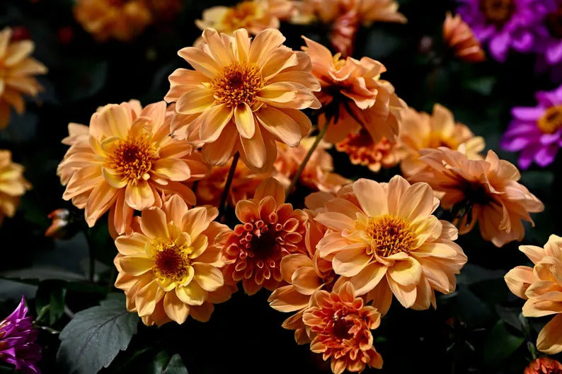 e2dc592c-58a2-4c5a-ace3-b6d7502a7b94