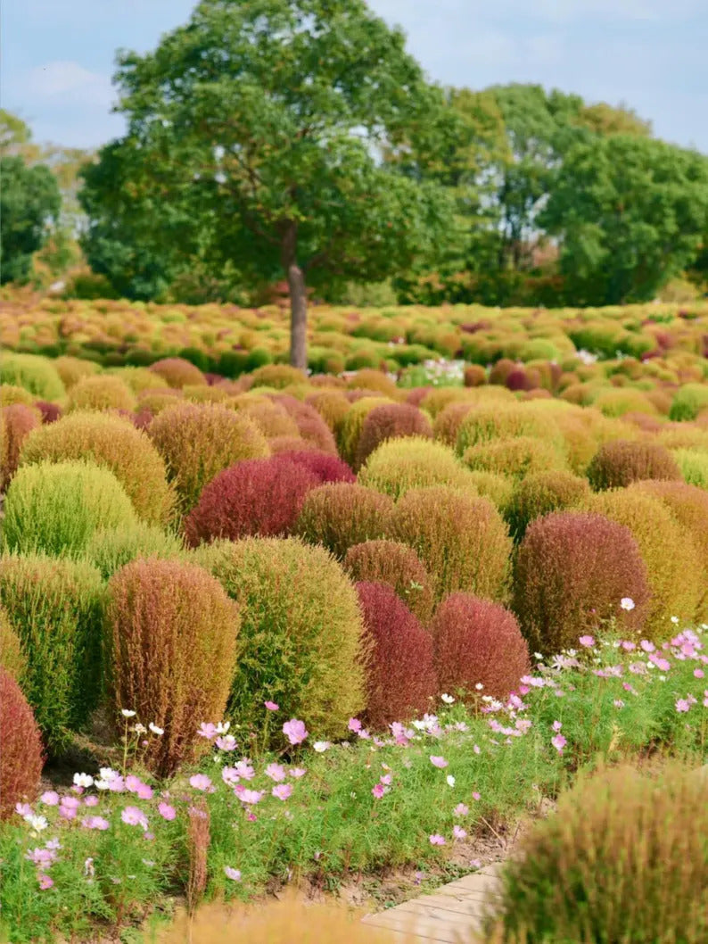 e1b3882c-fef0-4773-bbdb-5312ee187305