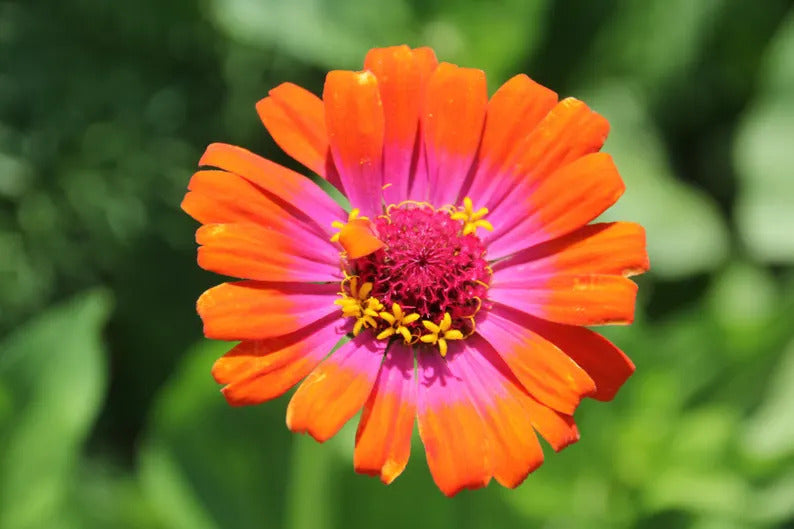 110187fd-9786-4bd1-8b54-caeda78e10ae