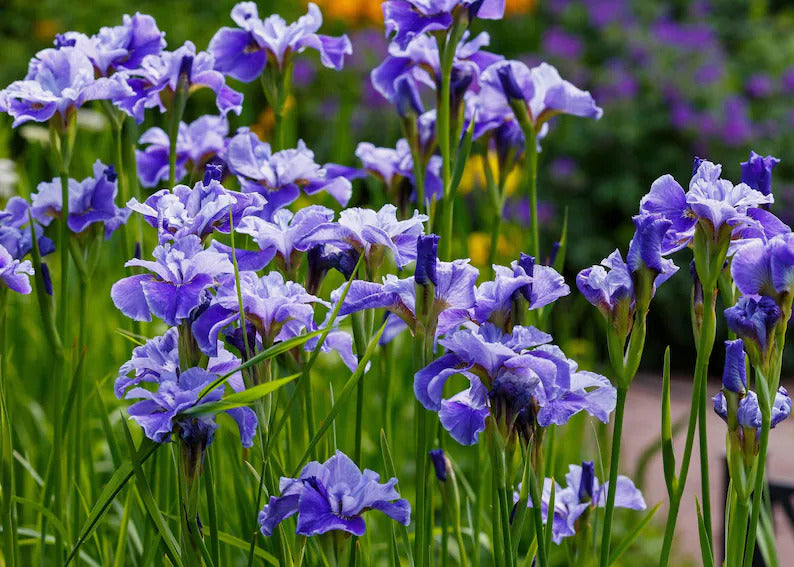 b4b9615e-2d6e-48ca-8c5d-a4372804d4e9