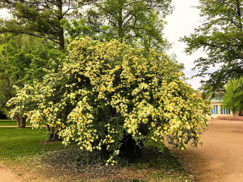 b3b4154c-ee7d-4dd6-8045-5e00120dfe9e