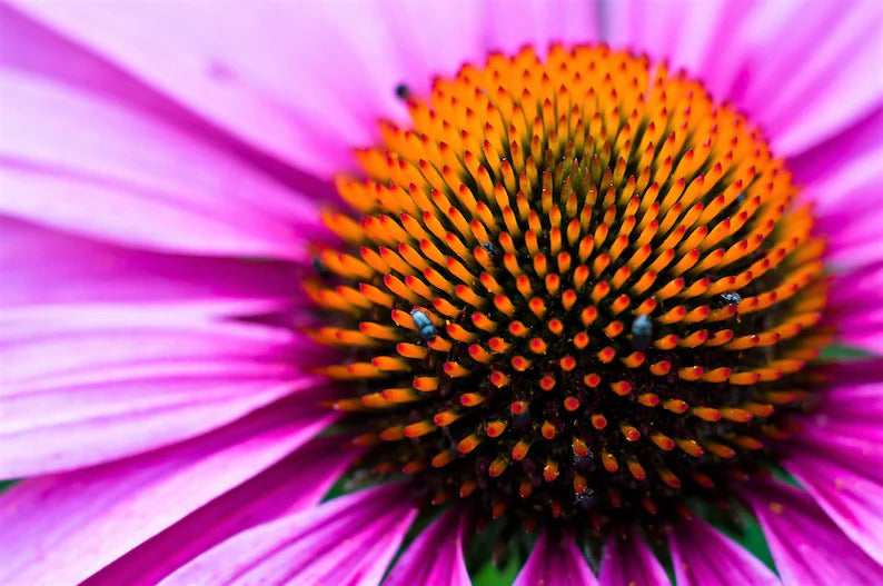 80d23539-e191-420b-b4d3-a77dbceb7945