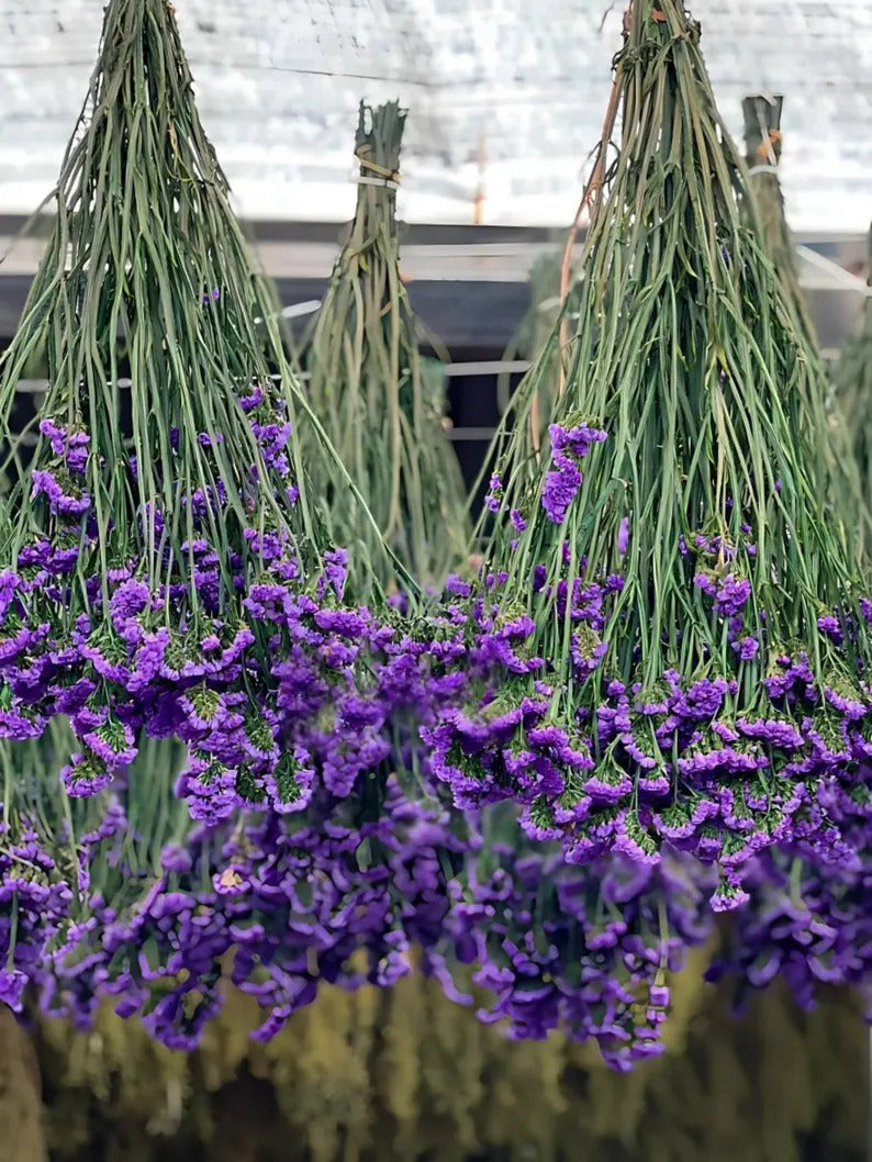 81965119-915e-4edf-86f9-397092f99696