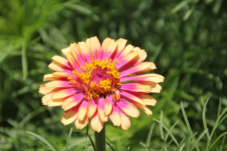 9031d8ad-fade-4402-bf52-3c3b17d2322e