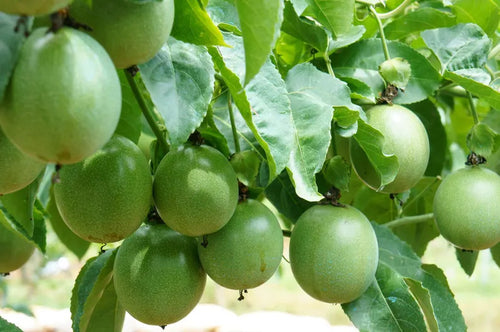 9c0a6ec0-b055-4694-9bca-62d25c001cbe