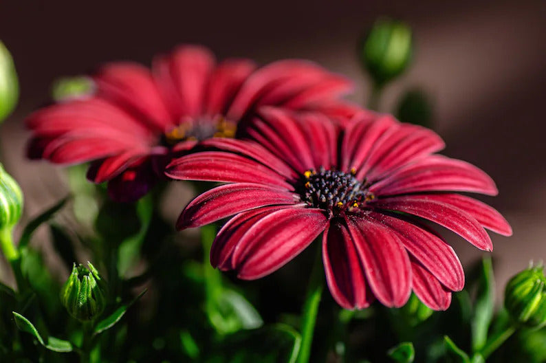 820ab1ce-1a20-4087-8b11-0790f9c46cb5