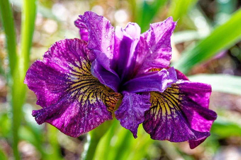 b1b7acaf-0a98-4808-9450-1ede98aa63ae