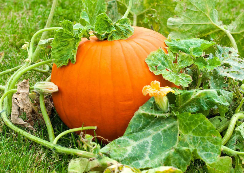 a8e9c000-2005-4aa9-bf32-de215313d825