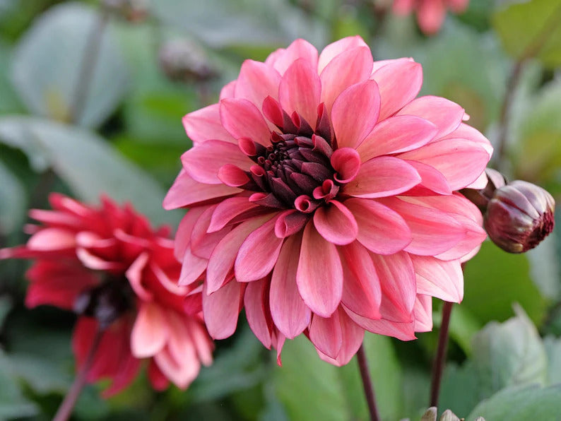 a1e70447-fc13-4de4-8631-83c080d34d5f