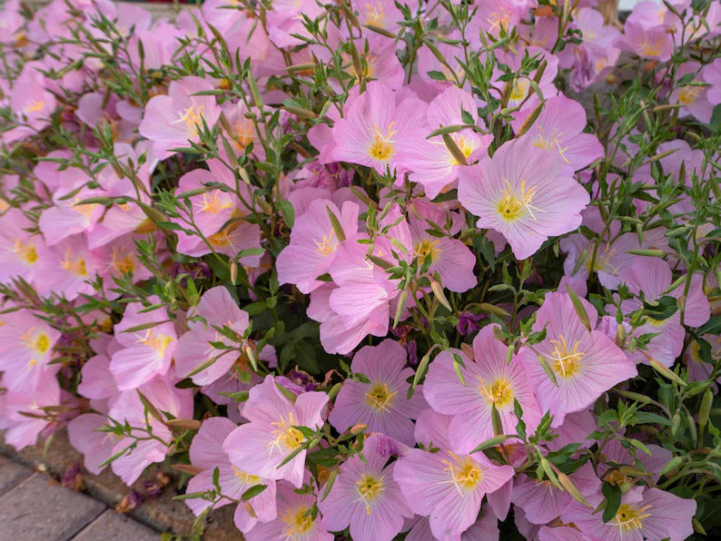 f2894fb2-b794-4faa-ab38-bf6b9ce11ec2