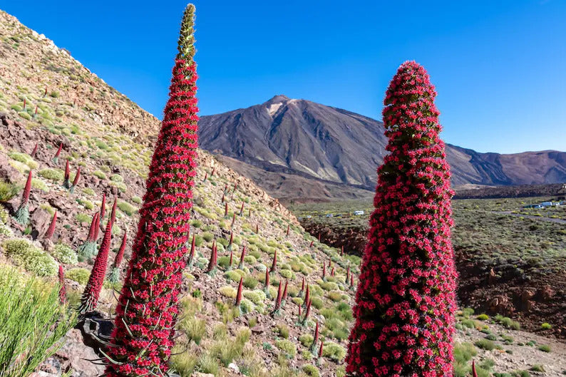 c3f22192-6abf-4189-87b3-3a5326a872ec