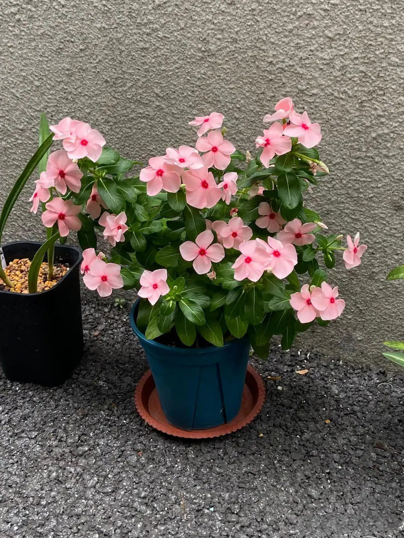 e66952d1-cab5-44fa-aa97-62677871f3b6