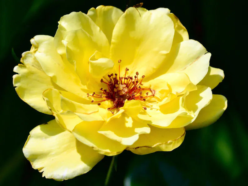 fa5884d2-a48c-4c56-8752-1332c1952955