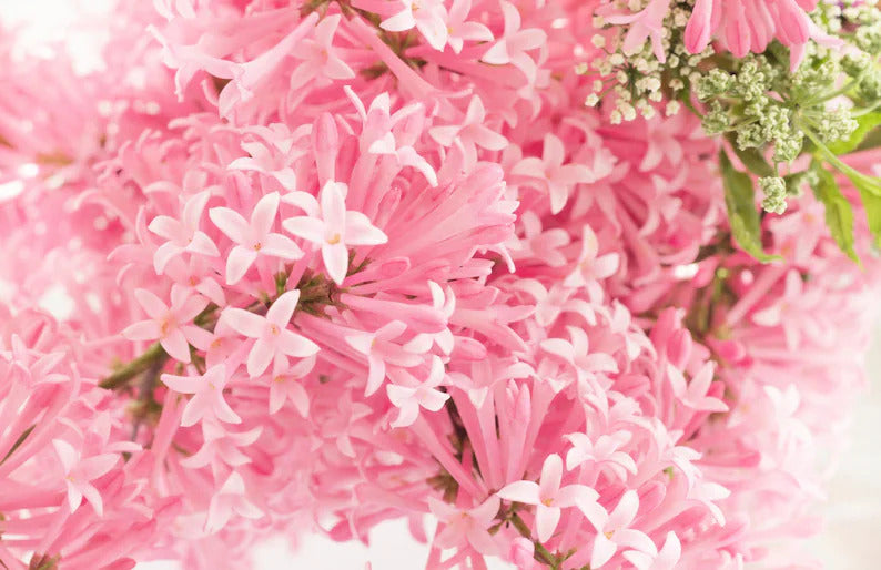 273eb744-0e64-45c0-a118-afbcdfcdddfa