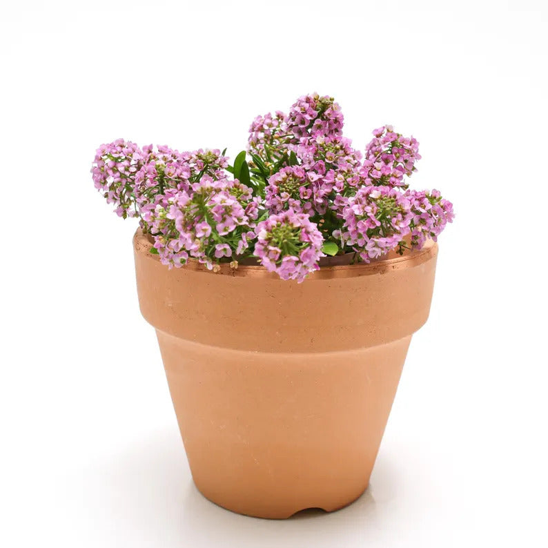 d3680d62-5ad8-4494-9838-5c19073b3f33