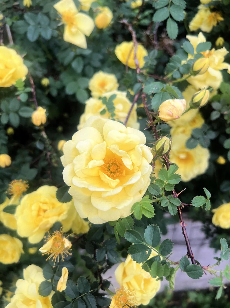 65cd4924-cc8d-4207-9ecd-43b8049b27b9