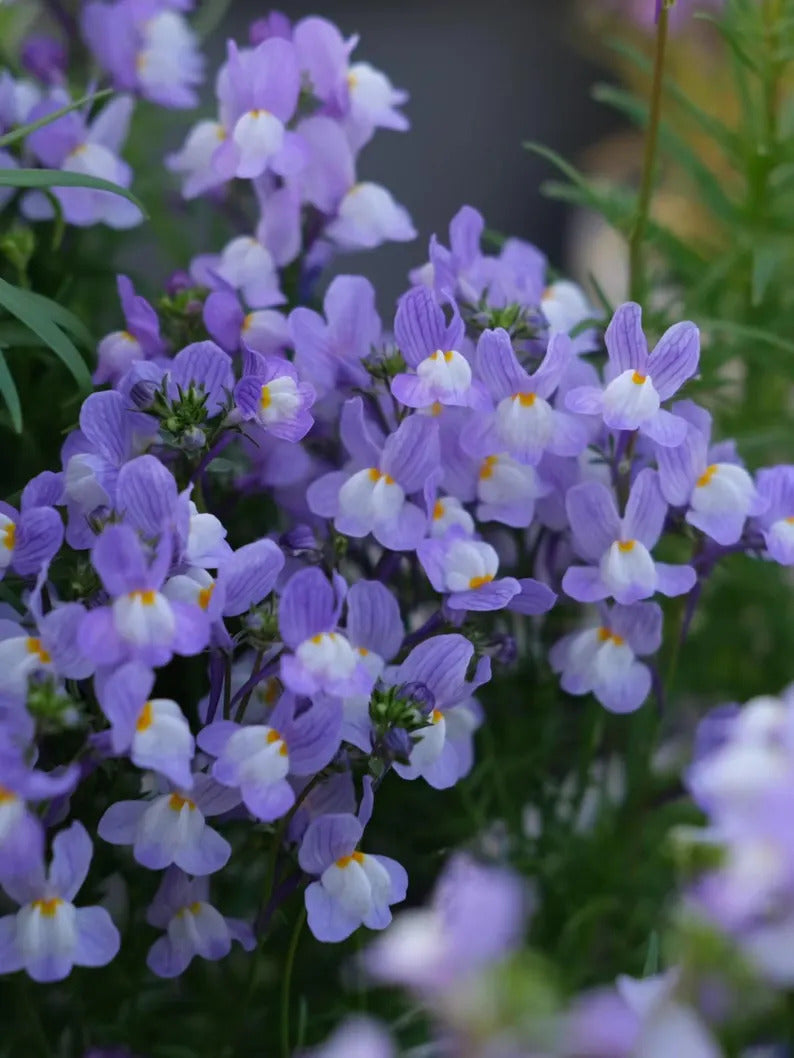 57c18d03-2518-42cc-b827-6f3002129027