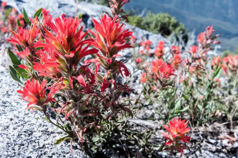 faf764d5-4432-42eb-914f-79ac0dafb72a