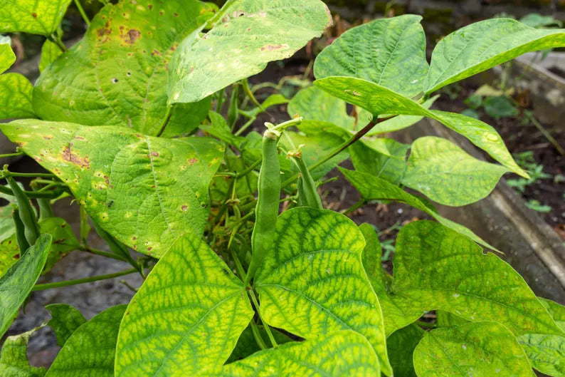 884cf9c6-5e5b-4241-8344-f5ebc40ca942