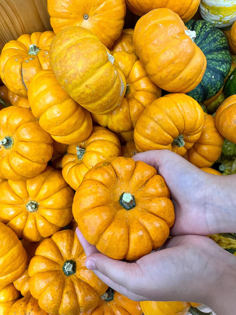 3aee8121-1ea2-4fe9-ad45-a700e2ee18a4