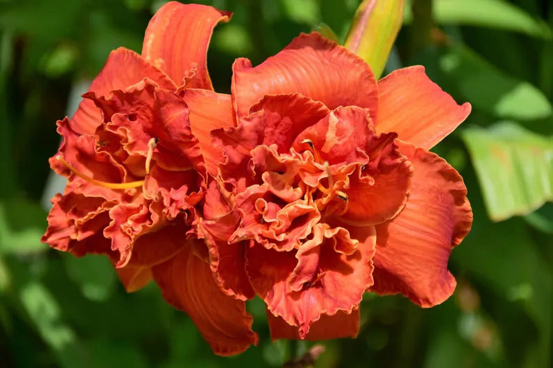 ce7a57c9-7b24-4bcf-9fc4-d4c1d629ecd1