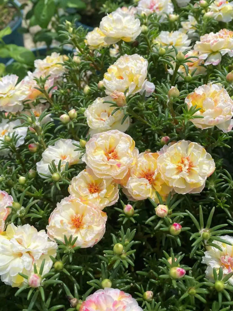 7784d5b3-2271-469a-8910-d28a3b14bc2b