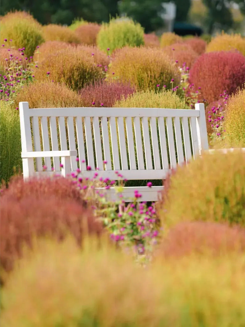 e6961f3e-140b-4d19-88d6-0f848225a700