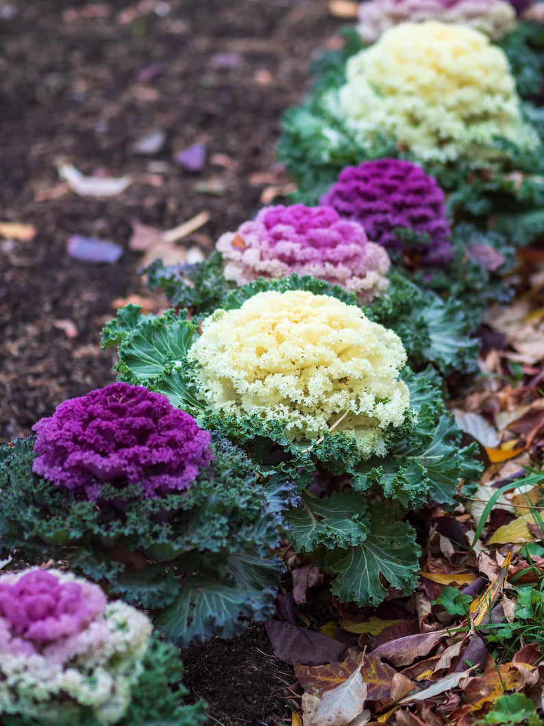 abb000c5-b945-4f69-8265-f81f4ea7d8db