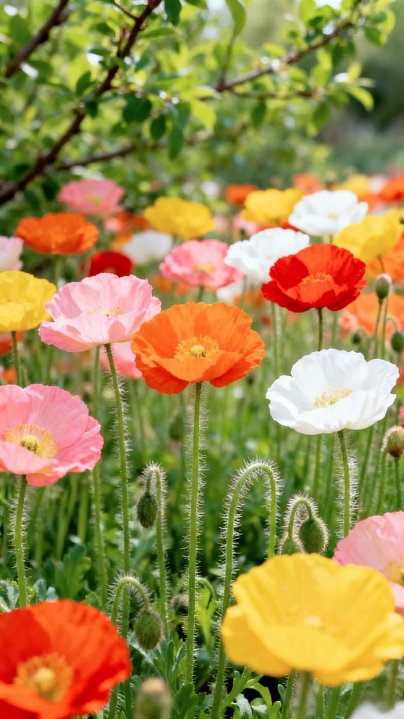 45c413b1-7849-464d-9a58-04a4bda722f5