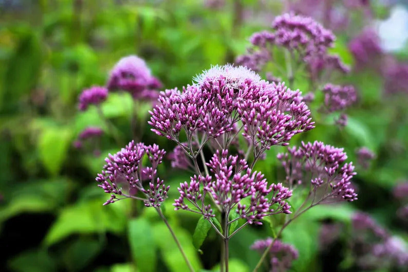 83198815-ce86-4a11-89a6-3ce747fc50dc