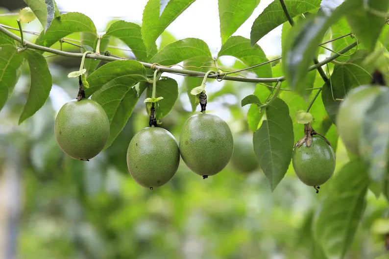 8f07be83-0412-4faf-aa8c-e6c683f1245d